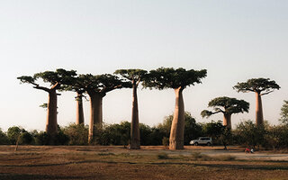 Destination Morondava